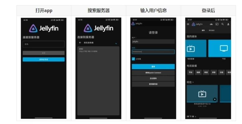 jellyfin(4)