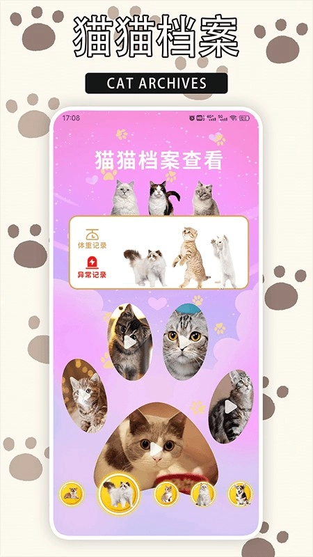 爱游猫