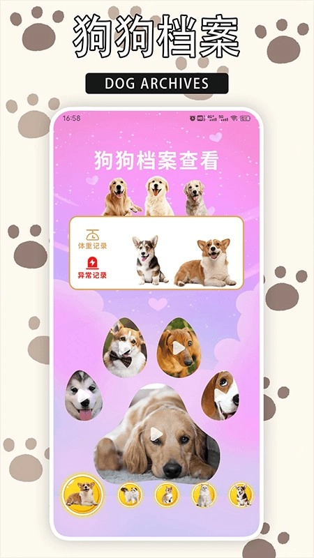 爱游猫