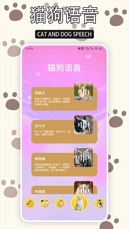 爱游猫