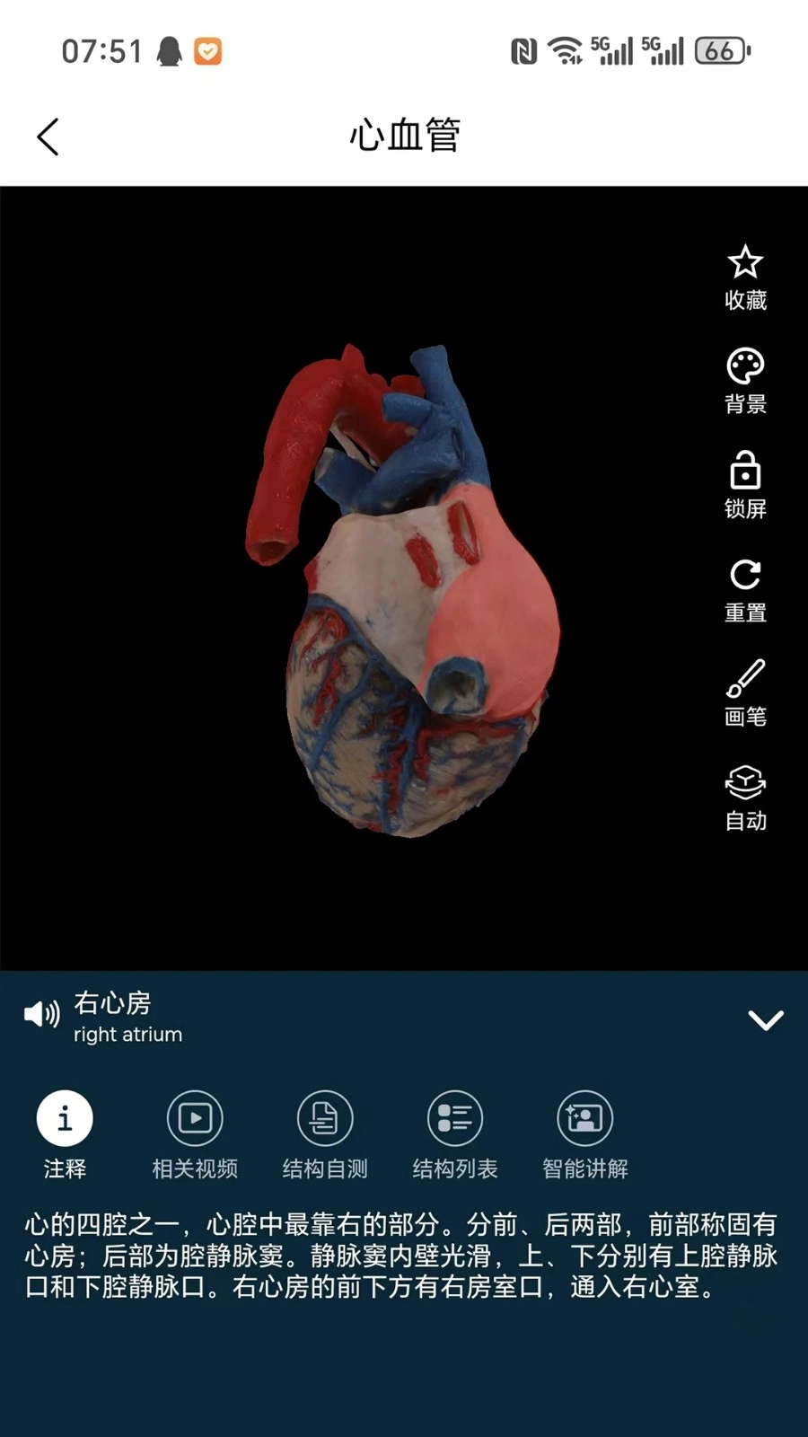 云解剖图2