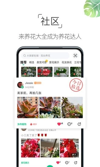 养花大全 图1
