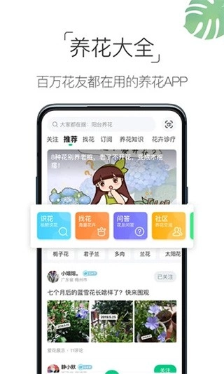养花大全 图2