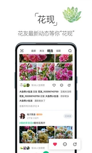 养花大全 图3