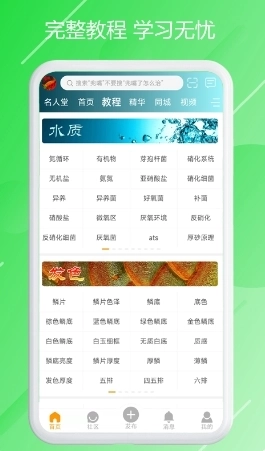 龙族图2