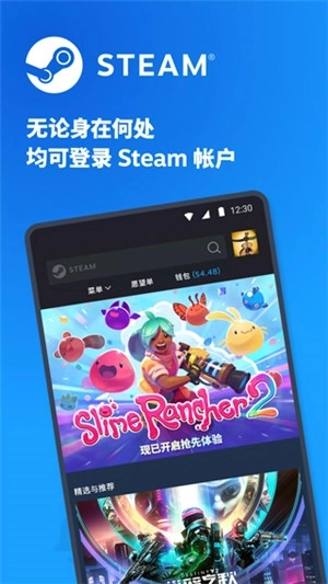 Steam2026图2