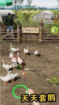 天天套圈游戏(2)