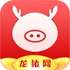 龙猪网