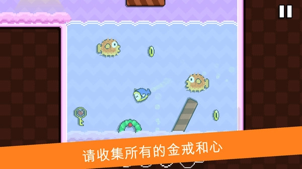 小嗨皮历险记(1)