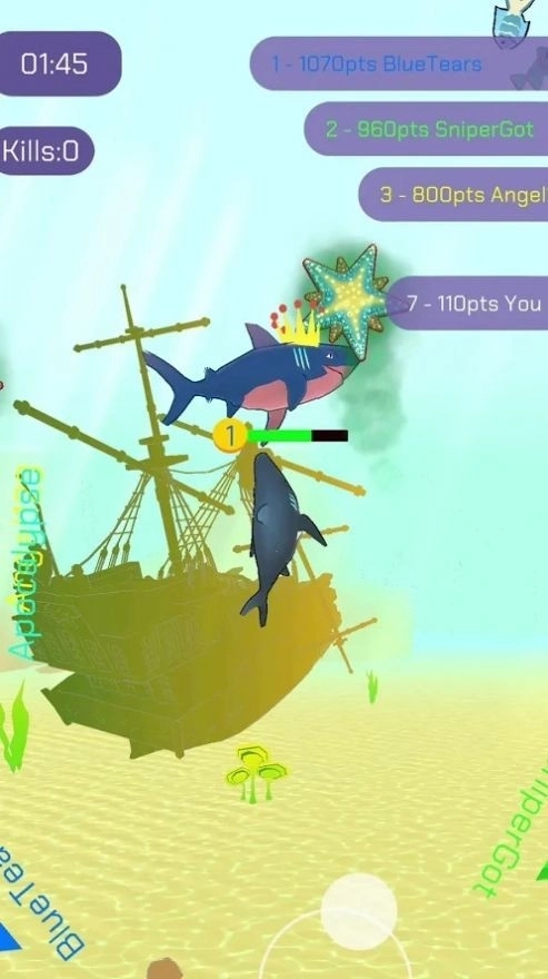 鲨鱼狩猎大作战(1)