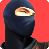 Dragon Ninja VR游戏
