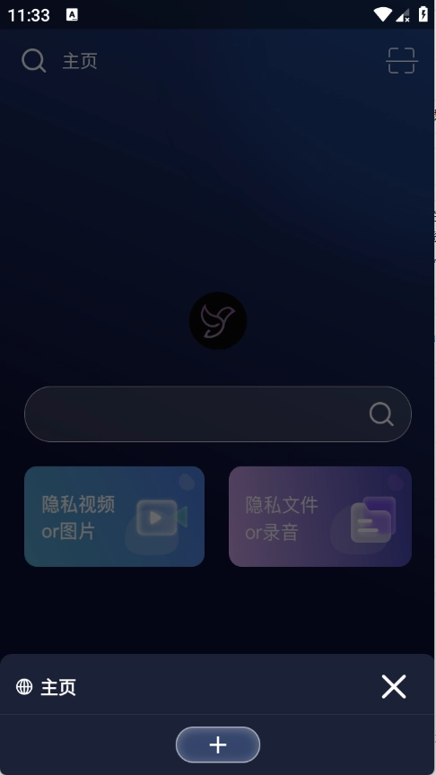 隐私浏览器图2