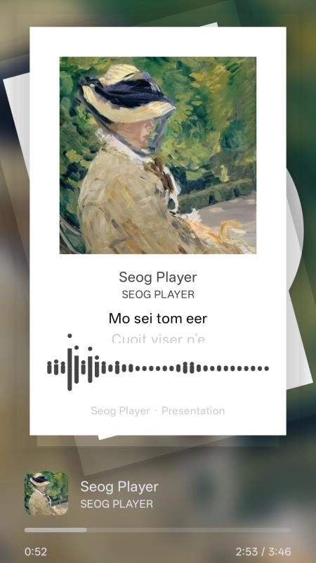 Seog Player软件