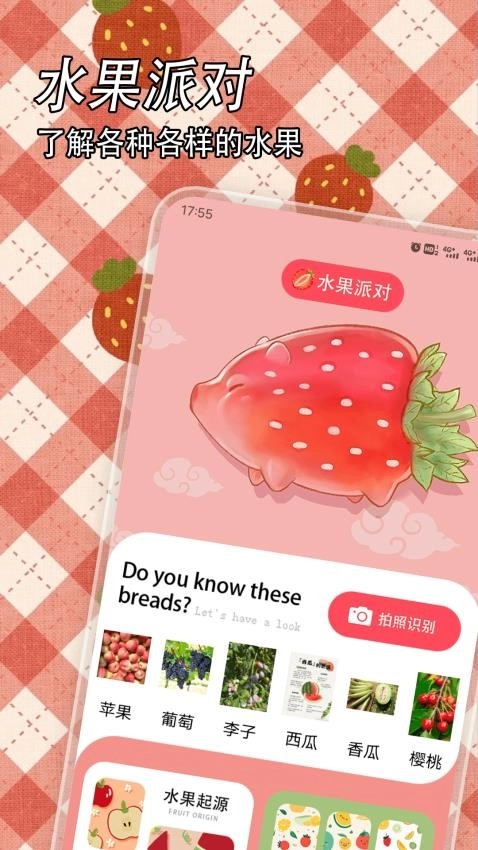 水果派对