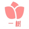 一树鲜花