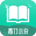 青竹小说