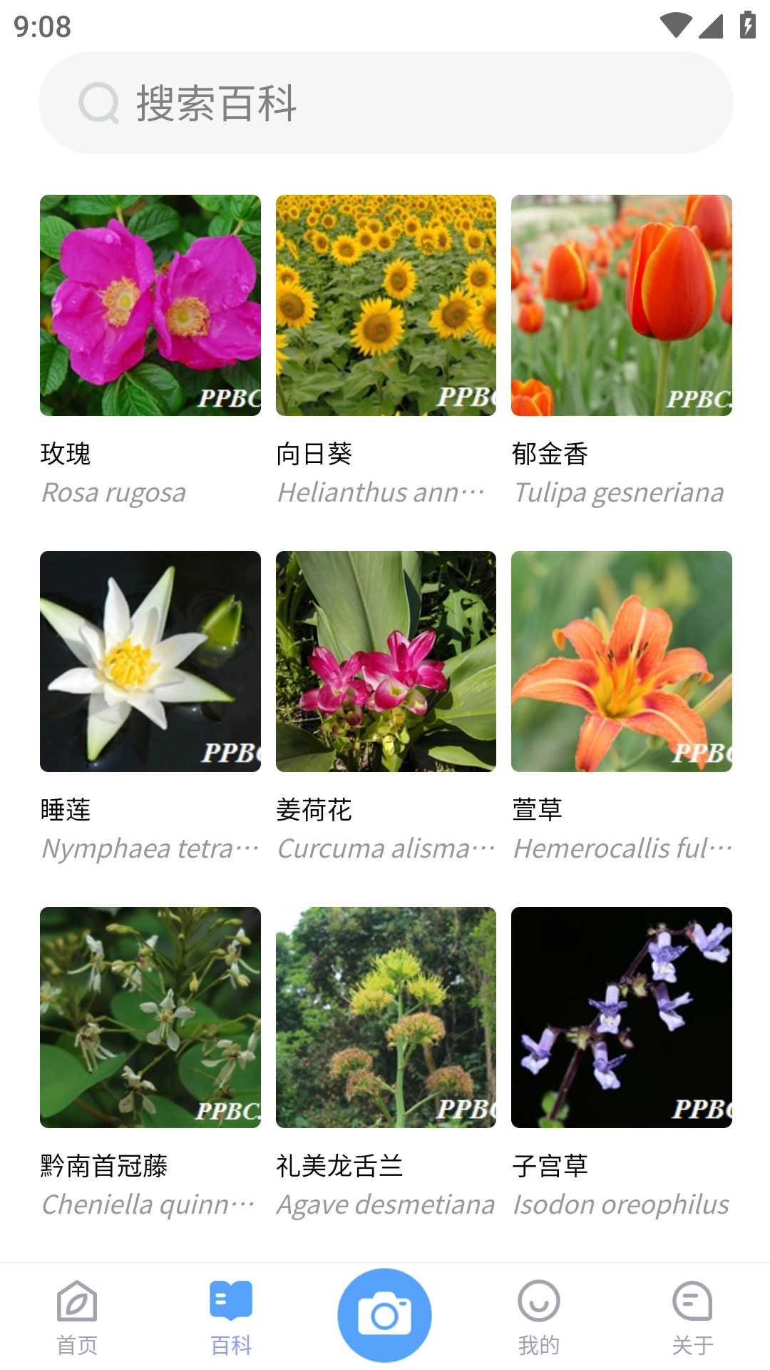 植物智图3