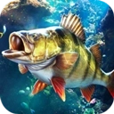 欢乐钓鱼大师全地图解锁