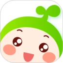 小豆苗