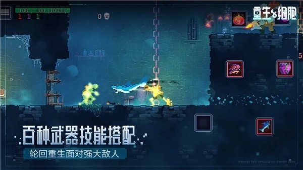 重生细胞完整版