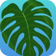 植物疗愈：纽约时光安装器
