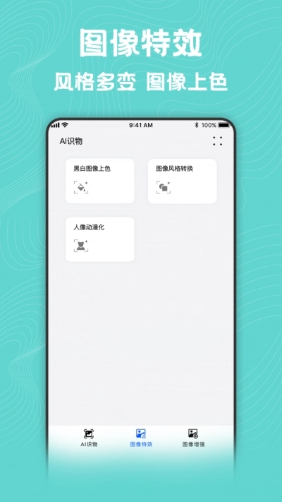 照片风格转换器