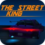 街头开放赛车 v3.8