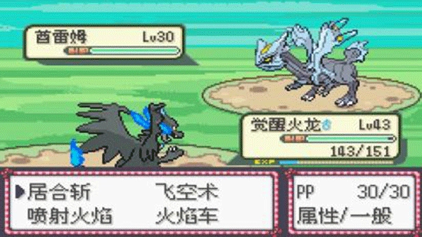 口袋妖怪漆黑来临游戏(1)