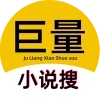 巨量小说搜