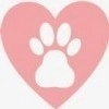 红言小说 v3.4.6
