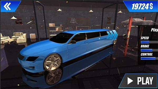 Limousine Parking(1)