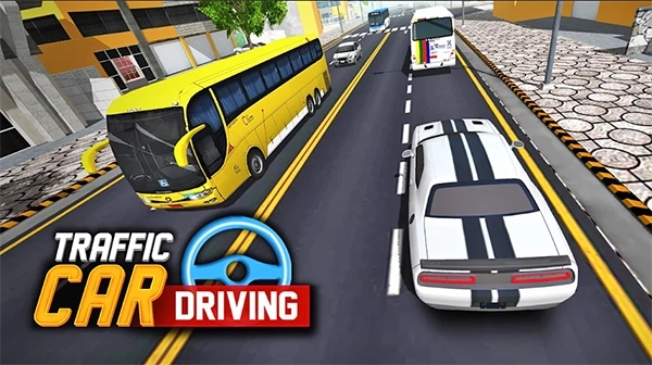 TrafficAndCarDrivingSimulator(1)