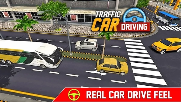 TrafficAndCarDrivingSimulator(2)