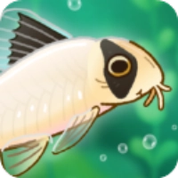 Pondlife安装器游戏