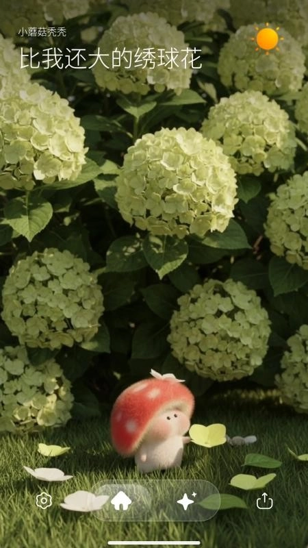 Picaaland软件