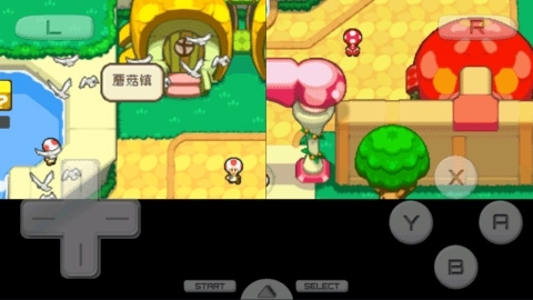 马里奥与路易RPG3(3)