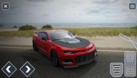 肌肉跑车科迈罗(3)