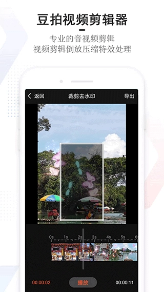 豆拍(3)