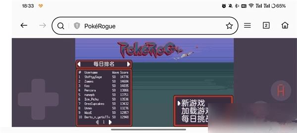 宝可梦肉鸽汉化版(9)