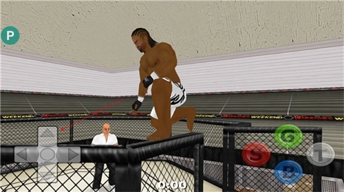 摔跤战士汉化版截图2