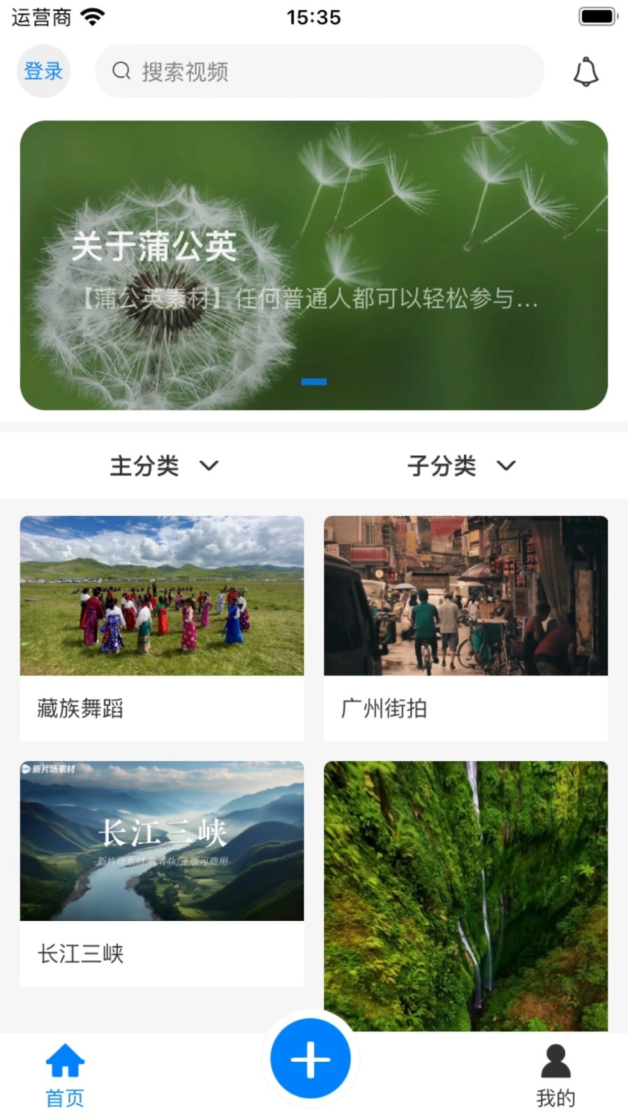 蒲公英素材