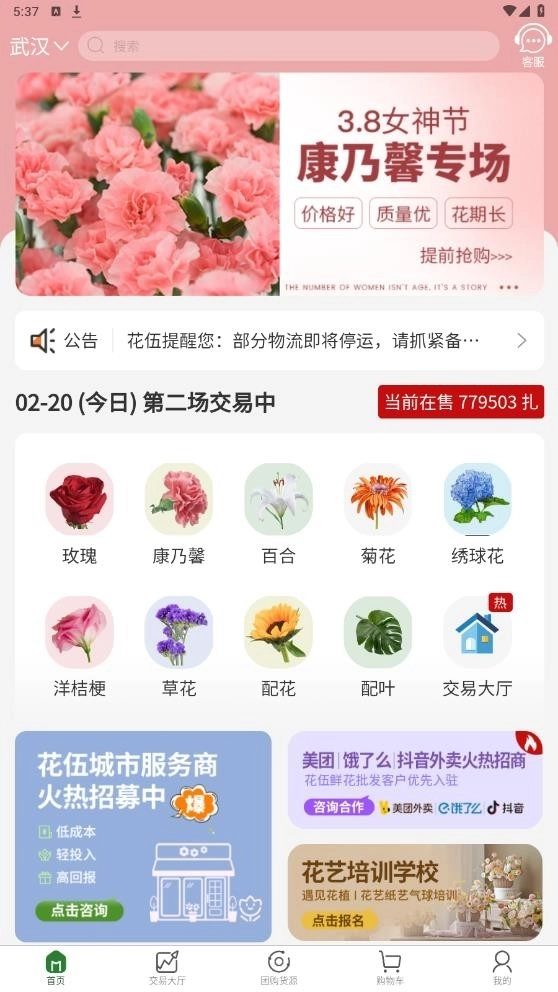 花伍鲜花图2