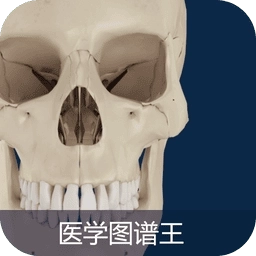 医学图谱王安卓版
