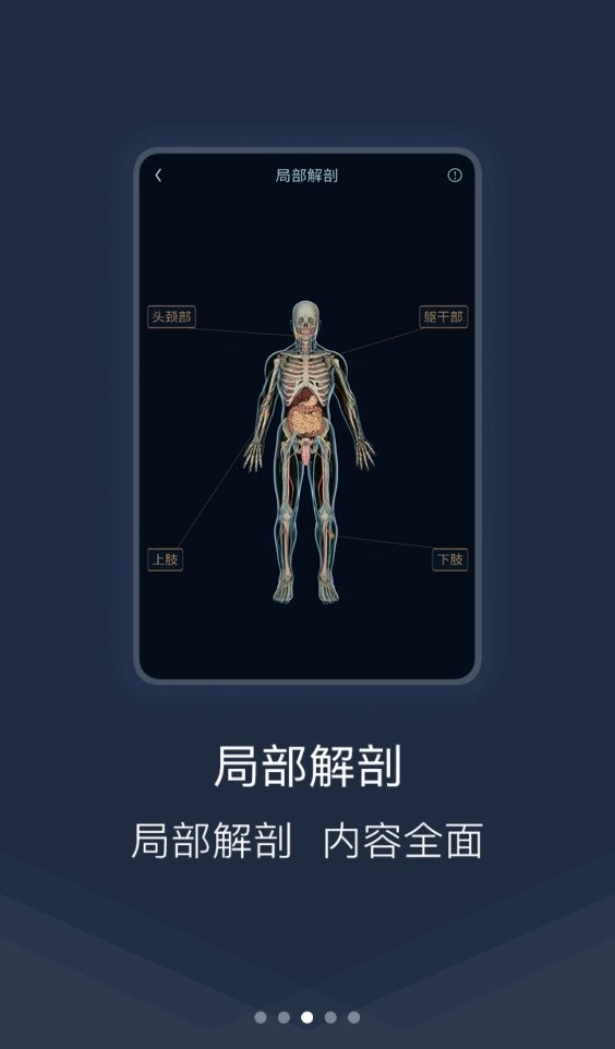 医学图谱王安卓版