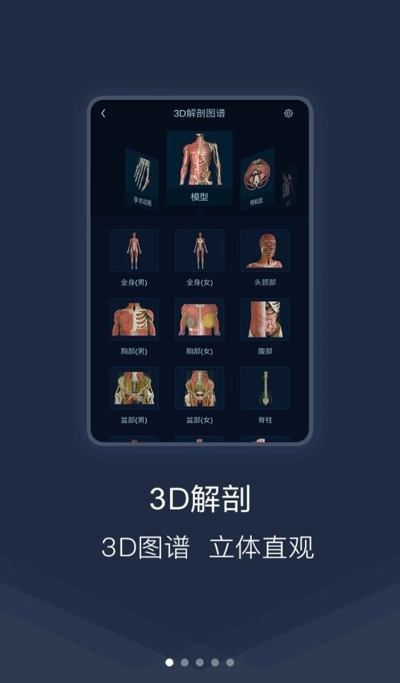 医学图谱王安卓版