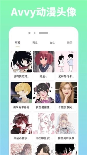 Avvy图2