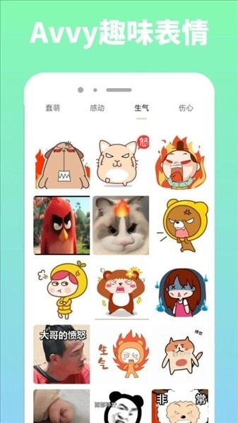 Avvy图3