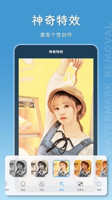 马赛克去除大师