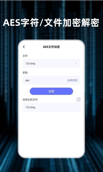 轻随机编码图2