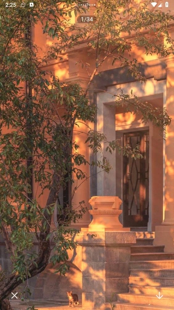 最后一卷相机软件图1